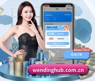 问鼎娱乐 APP（WEN DING）
